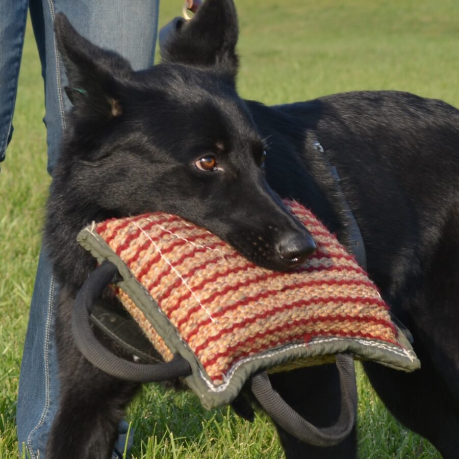 Azraelpillowbannerad