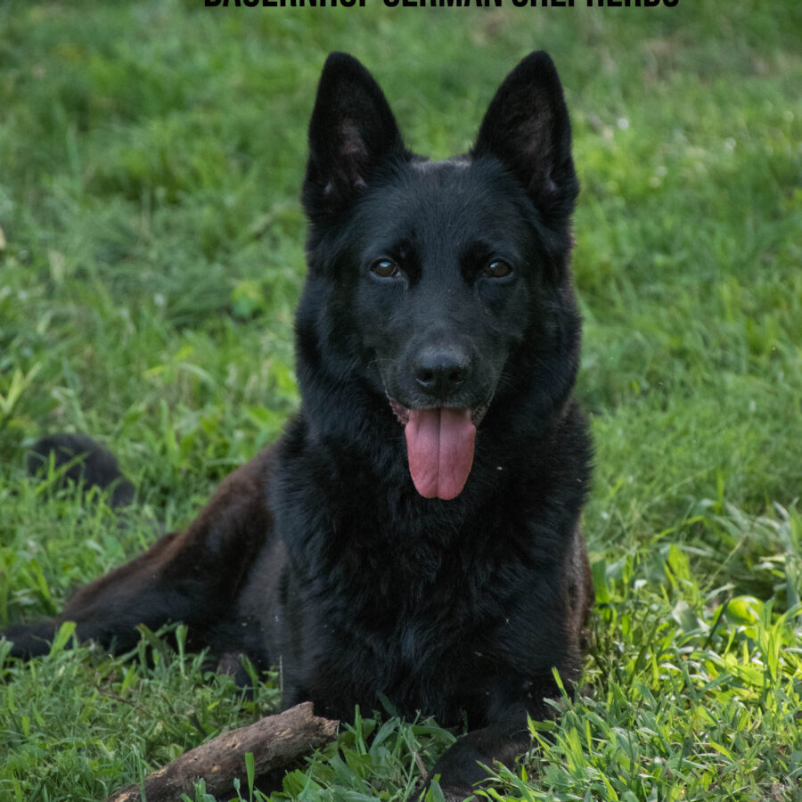 Azraelsmilingforbirthdayphotowatermarkforweb