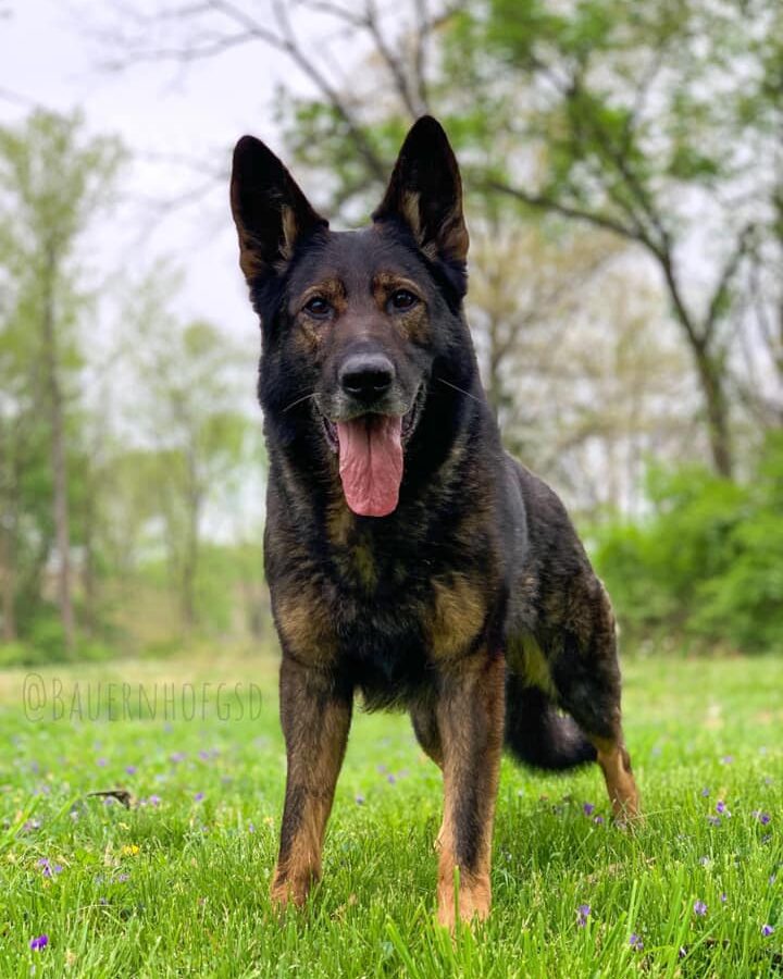 goofylooking at camera