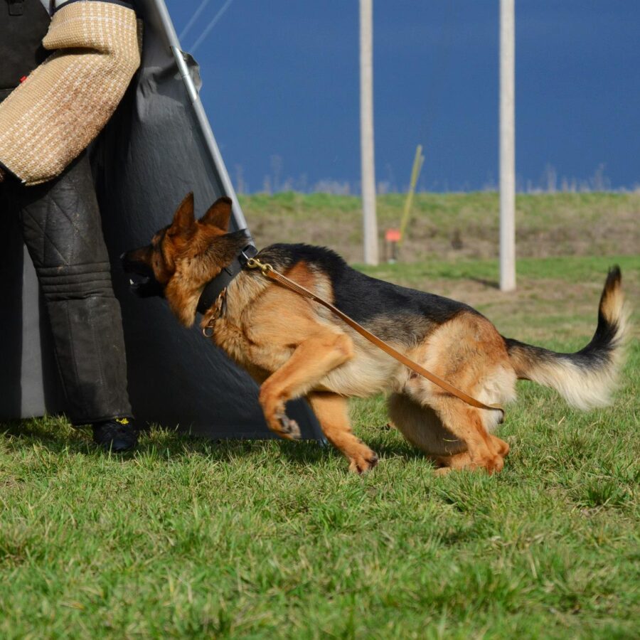 Havoccomingintoblind