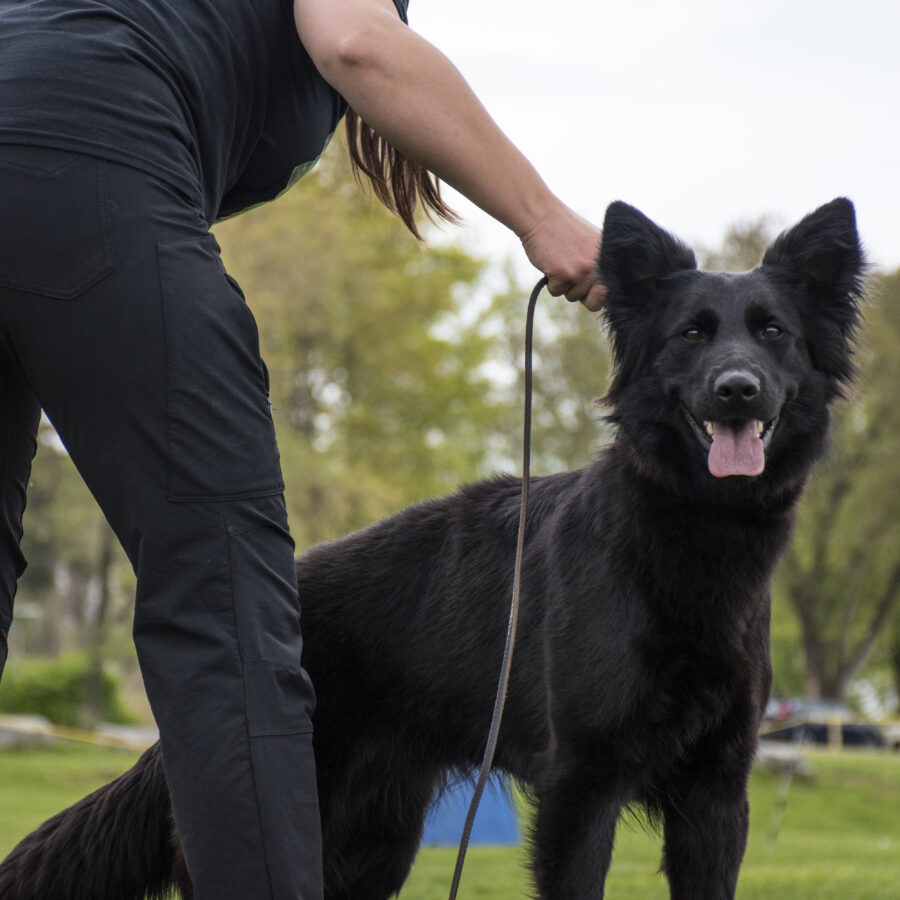 Marvelsillyfacestacked