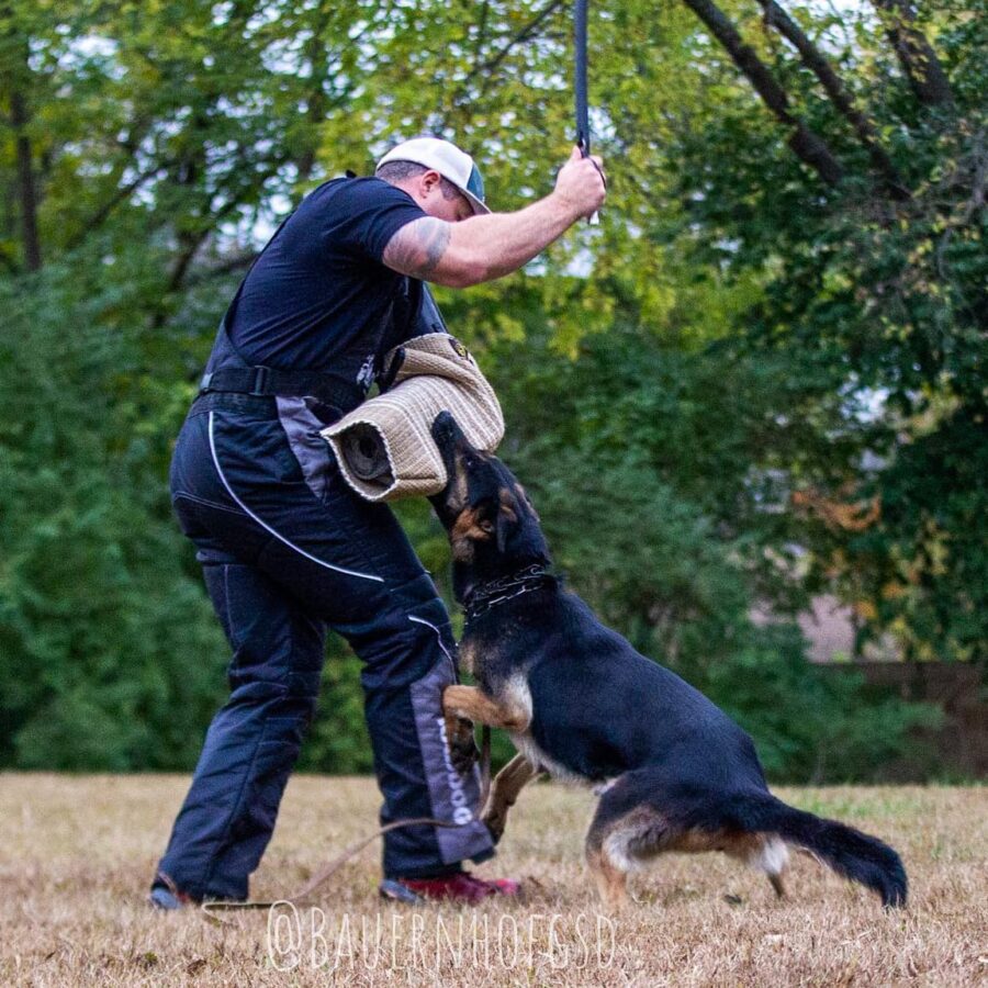 XS biting in the drive with Matt